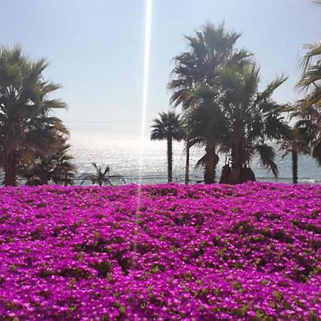 Playa Paraiso Resort Concón エクステリア 写真